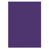 Aperturee - Professional Solid Purple Portrait Photography Backdrop